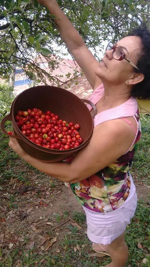 Pousada Vida Simples Paulas Exterior foto